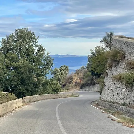 Montagne Et Palombella